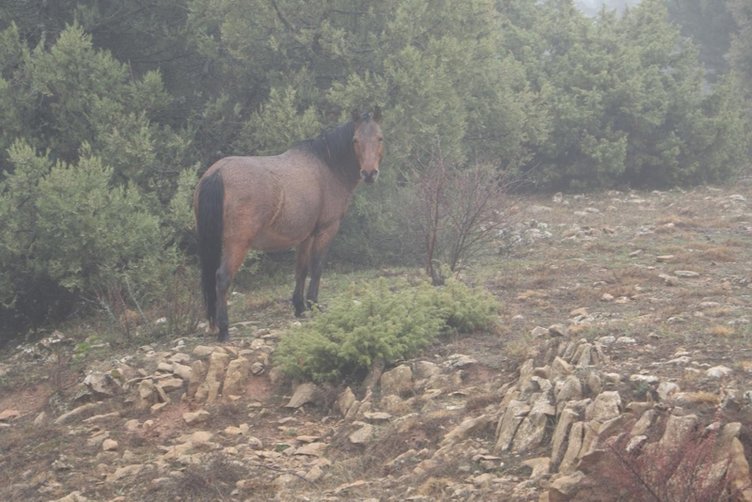Spil Dağı Milli Parkı ziyaretçi rekoruna koşuyor