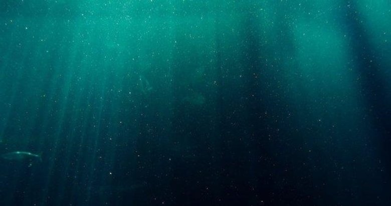 Deniz korkunuzun altında talassafobi yatıyor olabilir