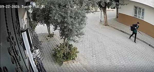 1790138503242.jpeg
