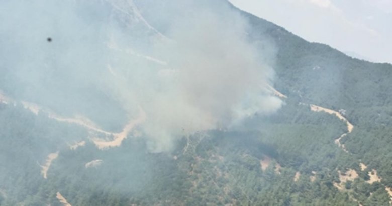 İzmir’de çıkan orman yangını söndürüldü
