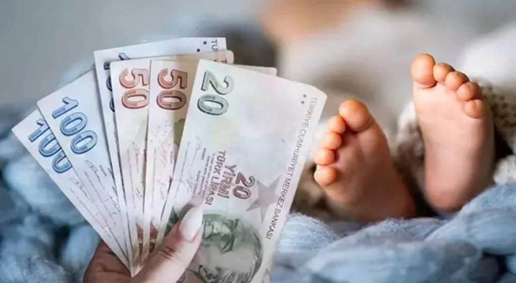 ANNELERE 325 EURO DESTEK ÖDEMESİ | Annelere 11 bin TL destek ödemesinde son durum ne?