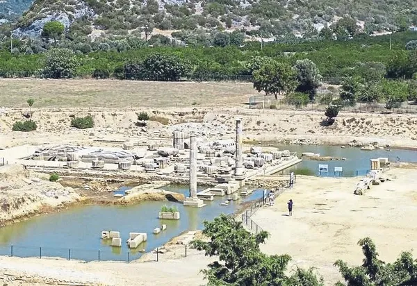 homerosun-izi-izmirde-suruluyor-1788020999770.jpeg