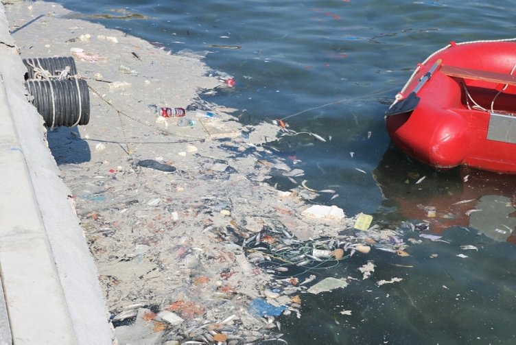 Müsilaj tekrar mı geliyor? Foça’daki deniz kirliliği endişelendirdi!