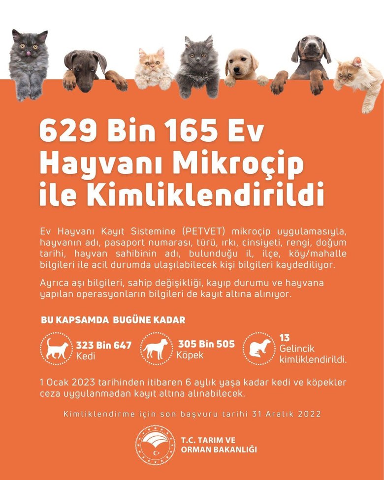 Tarım ve Orman Bakanlığınca 629 binden fazla ev hayvanı kimliklendirildi