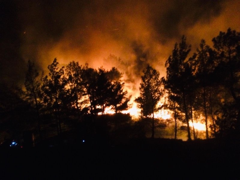 Muğla’da 2 dönüm orman ve 25 dönüm sazlık alan yandı