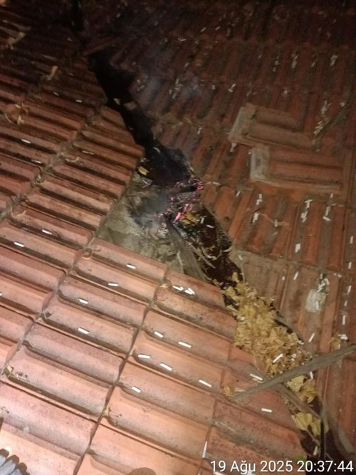 Muğla’da evin çatısında yangın paniği: Sigara itfaiyeyi alarma geçirdi