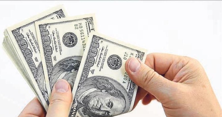 Hem bireyler hem şirketler dolar sattı