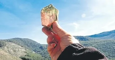 Muğla’dan servet fışkırıyor!