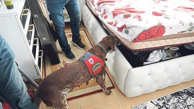 İzmir’de yeşil reçete vurguncularına baskın