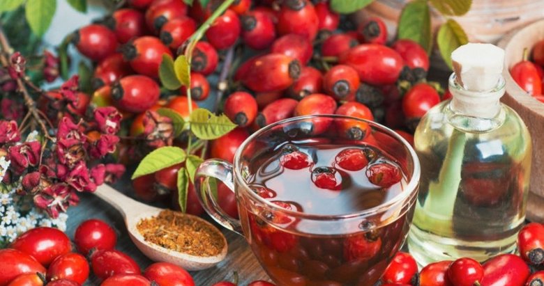 C vitamini deposu kuşburnu