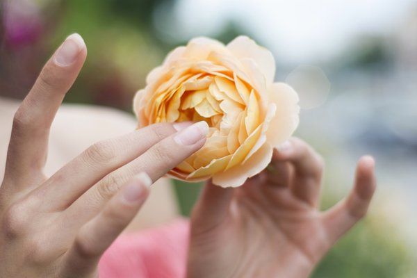 Anneler Günü ne zaman? 2019 Anneler Günü mesajları