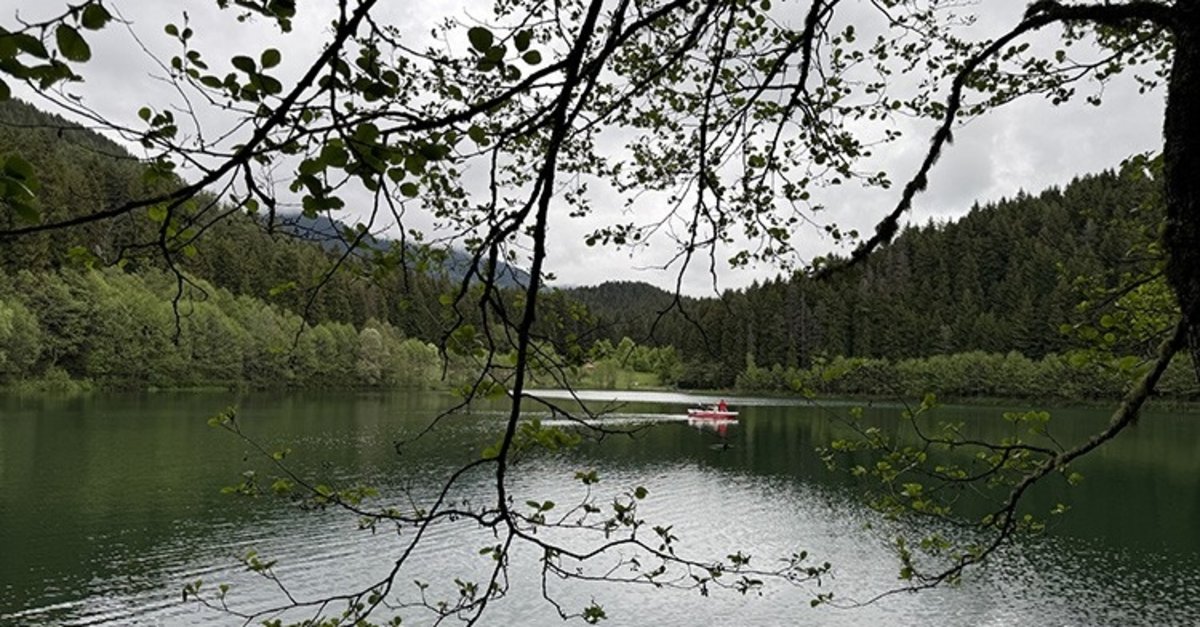 Tefekkür eden maydanoz