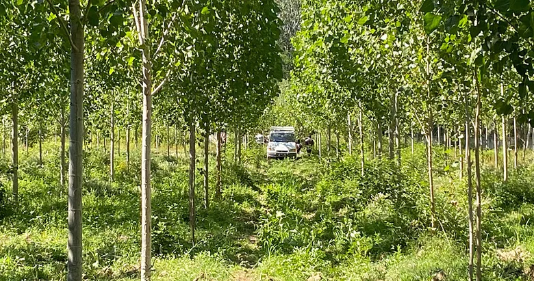 Yoldan geçenler durumu fark etti: Kavaklık alanda cansız beden bulundu