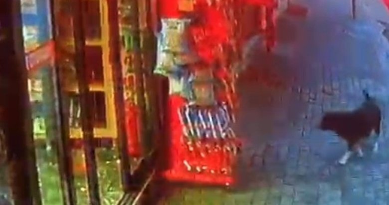 Sevimli hırsız marketten cips çaldı