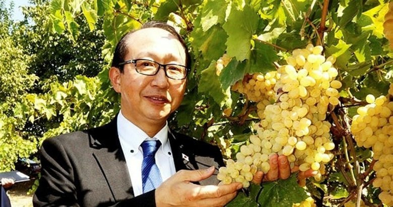 Japon Başkonsolos, Sarıgöl üzümlerine hayran kaldı