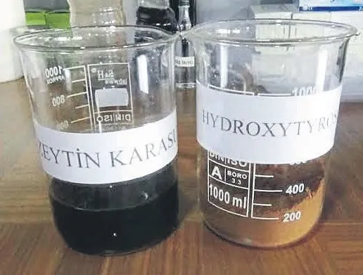 zeytinin-karasuyu-topraga-hayat-verecek-1787680826978.jpeg