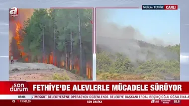 Muğla’daki orman yangınında 2. gün