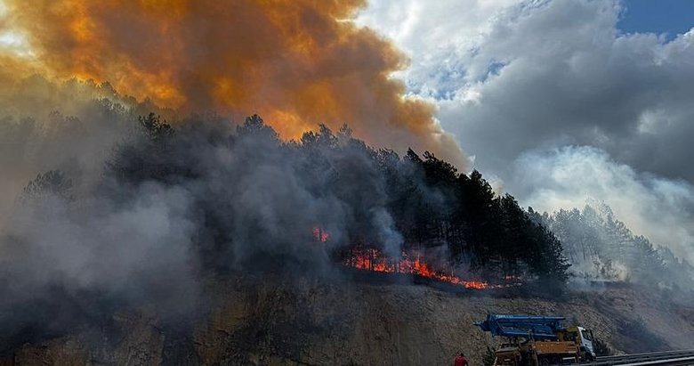 Son dakika: Bolu’da orman yangını! Havadan ve karadan müdahale
