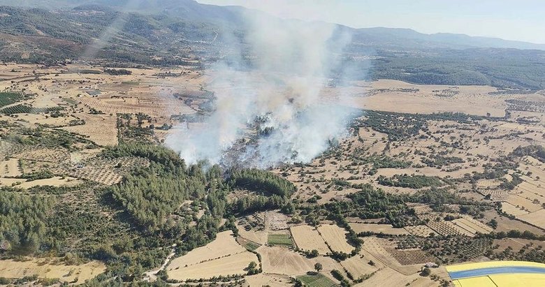 Muğla Milas’taki yangın kontrol altında