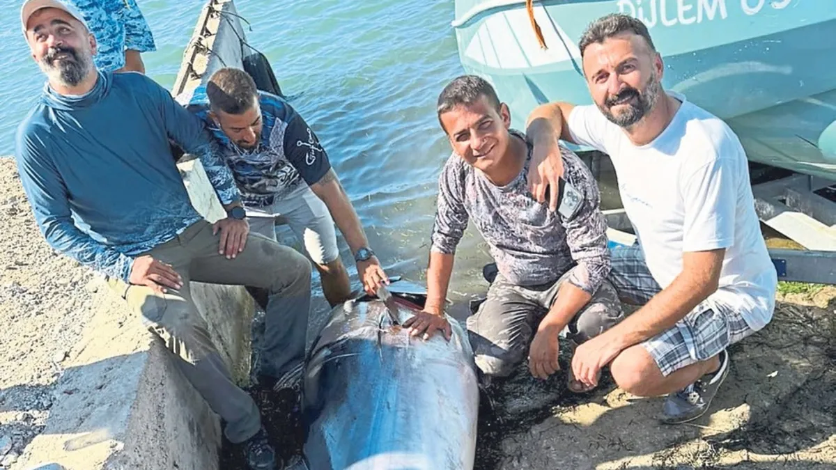 3 saatlik mücadele 260 kiloluk av