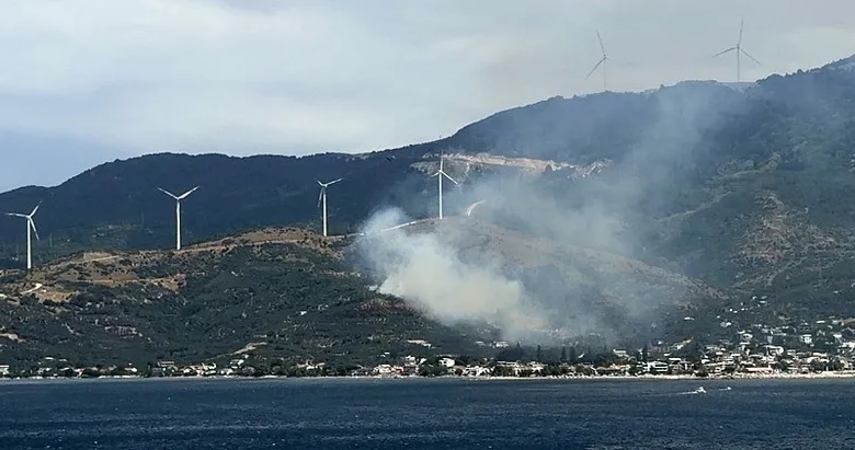 Balıkesir Marmara Adası’nda orman yangını