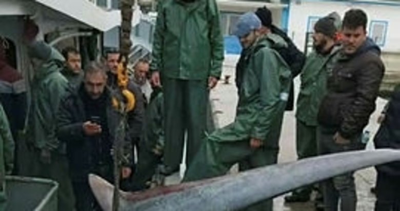 Didimli balıkçıların ağına köpekbalığı takıldı