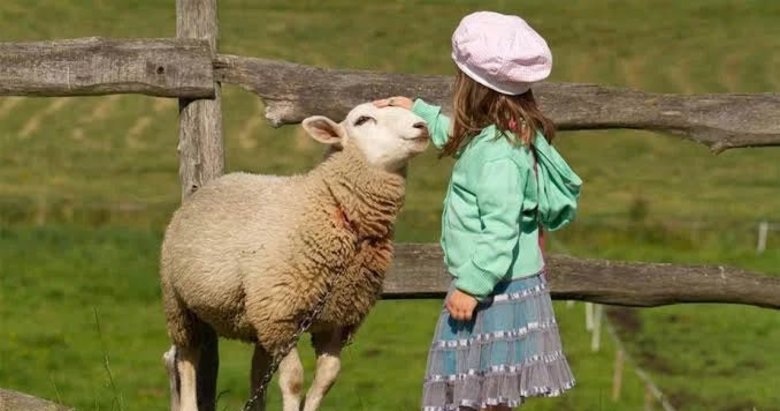 Hayatımızdaki kurbanlar