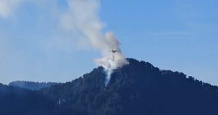 Denizli’de çıkan orman yangını devam ediyor