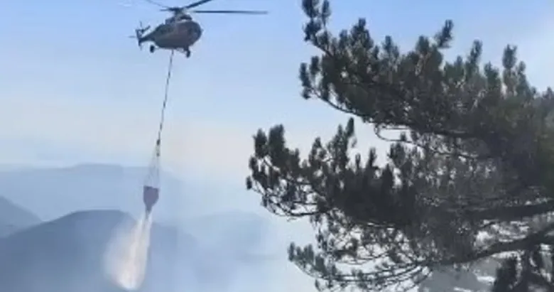 Son dakika: Muğla Fethiye’de orman yangını
