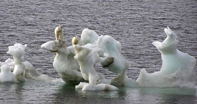 Arktik’in ’Son Buz Bölgesi’ beklenenden daha hızlı kaybolabilir