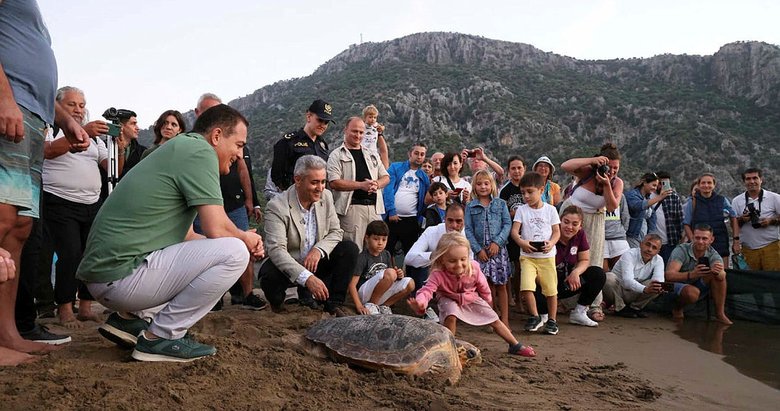 Deniz kaplumbağaları özgürlüğe kulaç attı