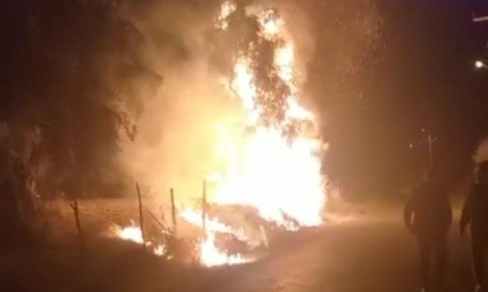 İzmir’deki esrarengiz yangınların sonu gelmiyor! 6 köyün zeytinliği yandı!
