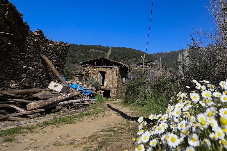 izmirin-o-koyunde-sadeve-3-aile-yasiyor-tarih-kokan-hayalet-koy-yeniden-ayaga-kalkacak-1776502258338.jpeg