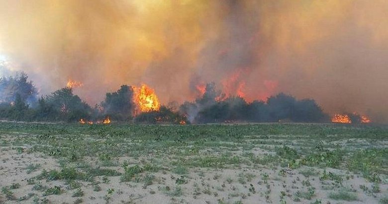 Manisa Gördes’teki yangın 18 saatlik çalışmayla kontrol altına alındı