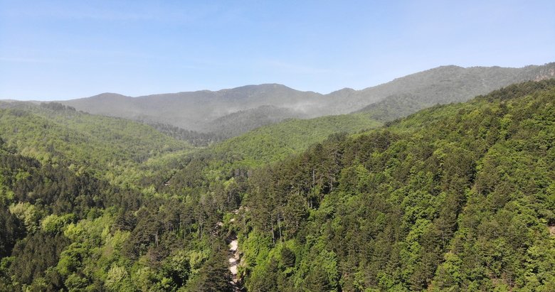 Çanakkale Valiliği duyurdu! O tarihlerde ormanlık alanlara giriş yasaklandı