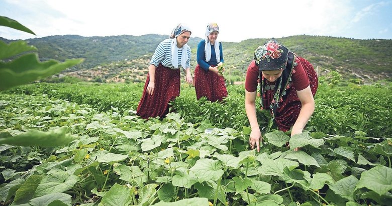 Kadın dayanışmasıyla kurulan lezzet köprüsü