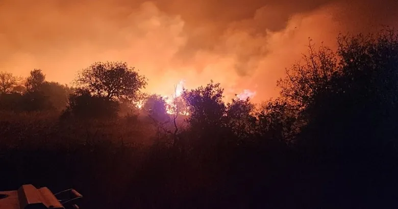 İzmir’de yangın faciası! 4 saatlik dev mücadele