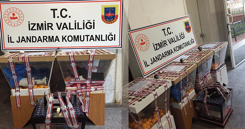 İzmir Bornova’da çay ocaklarına kumar baskını