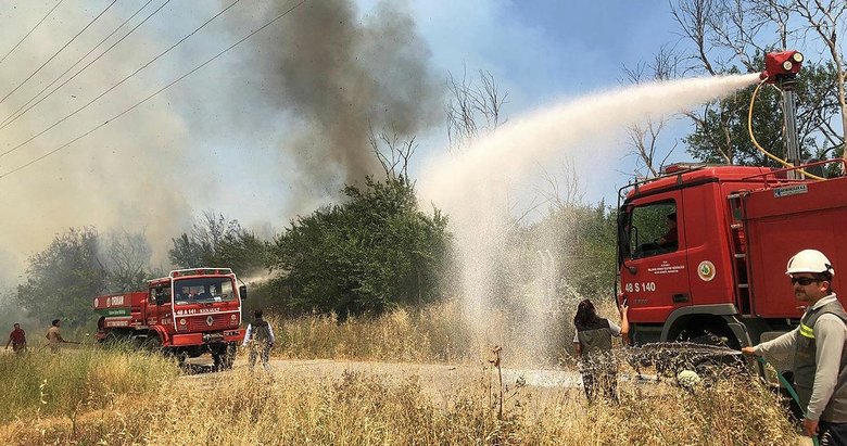 Muğla’da makilik yangını: Ekipleri alarma geçirdi