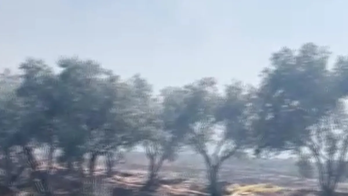 İzmir'de korkutan yangın: Alevler evlere ve ağıllara kadar ulaştı