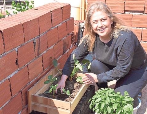 Salgın günlerinde balkonda tarım