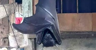 Gören gözlerine inanamadı! Sosyal medyayı ikiye bölen kare...