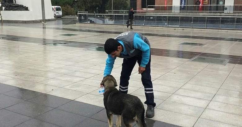 Temizlik işçisi ile sokak köpeğinin kıskandıran dostluğu