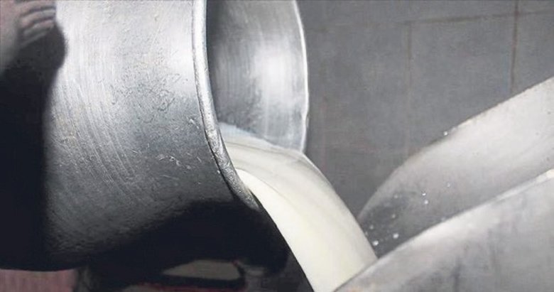 TİGEM ihaleyle 74 bin 665 ton inek sütü satacak