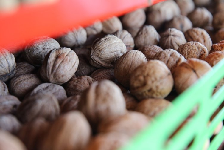 Cevizin faydaları nelerdir? Neye iyi gelir?