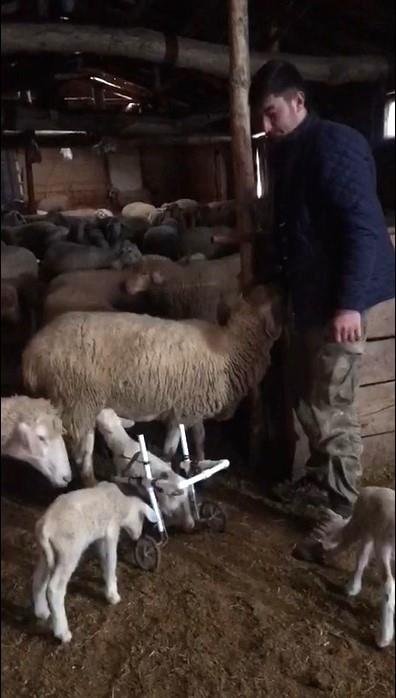 Kütahya’dan yürekleri ısıtan görüntü