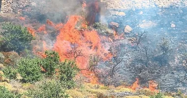 Kendini yakacaktı makilik alanı kül etti