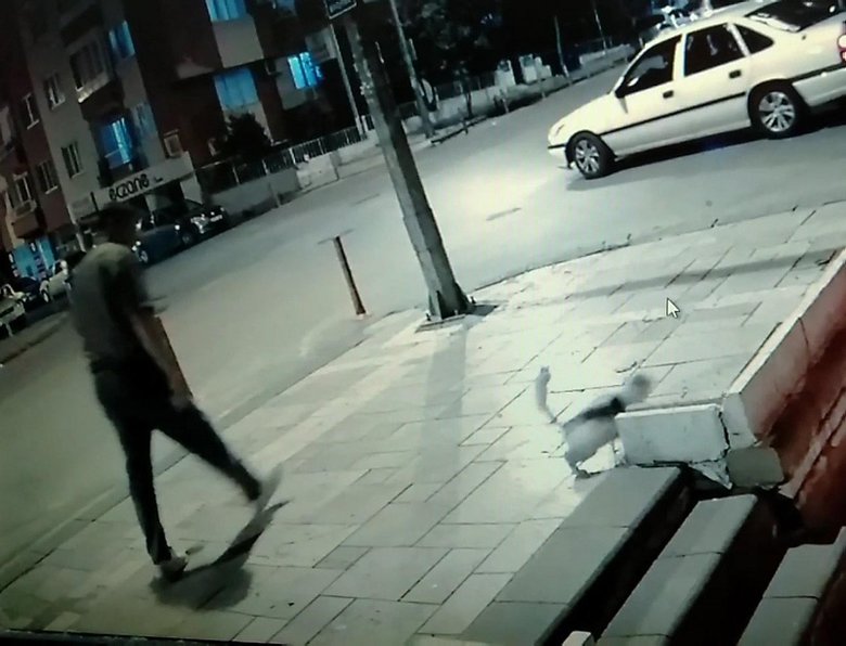 Denizli’de tepki çeken görüntüler! Marketindeki sucuğu yiyen sokak kedisini tekmeledi