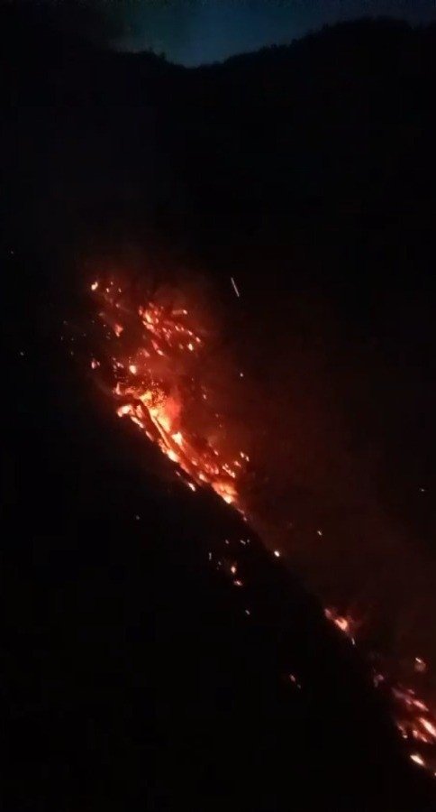 Yaz gelmeden orman yangınları başladı!