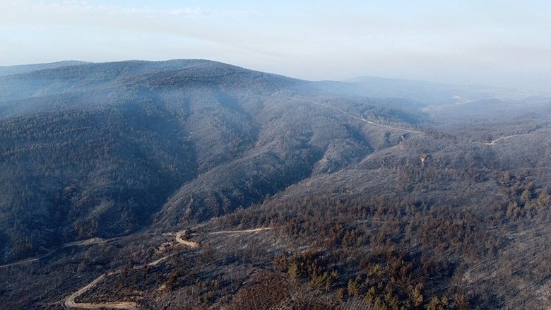 Bakan Yumaklı duyurdu: Gelibolu’daki orman yangını tamamen kontrol altına alındı